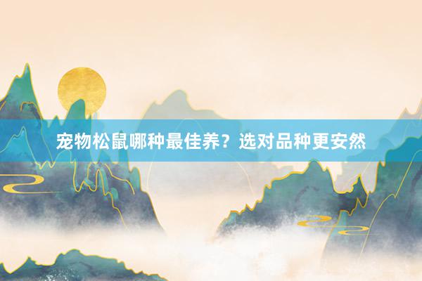 宠物松鼠哪种最佳养？选对品种更安然
