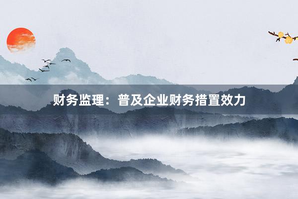 财务监理：普及企业财务措置效力