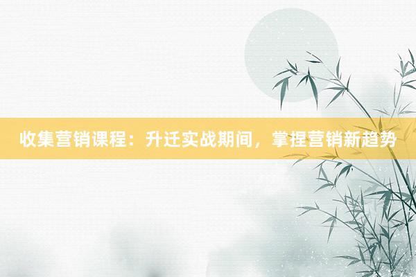 收集营销课程：升迁实战期间，掌捏营销新趋势