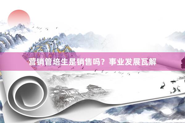 营销管培生是销售吗？事业发展瓦解